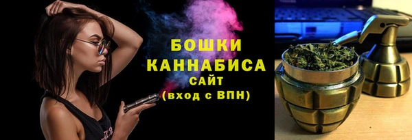 трава Арсеньев