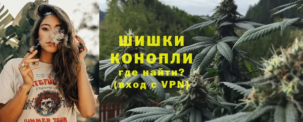 трава Арсеньев