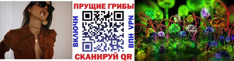 наркошоп площадка какой сайт Псилоцибиновые грибы мицелий Ужур